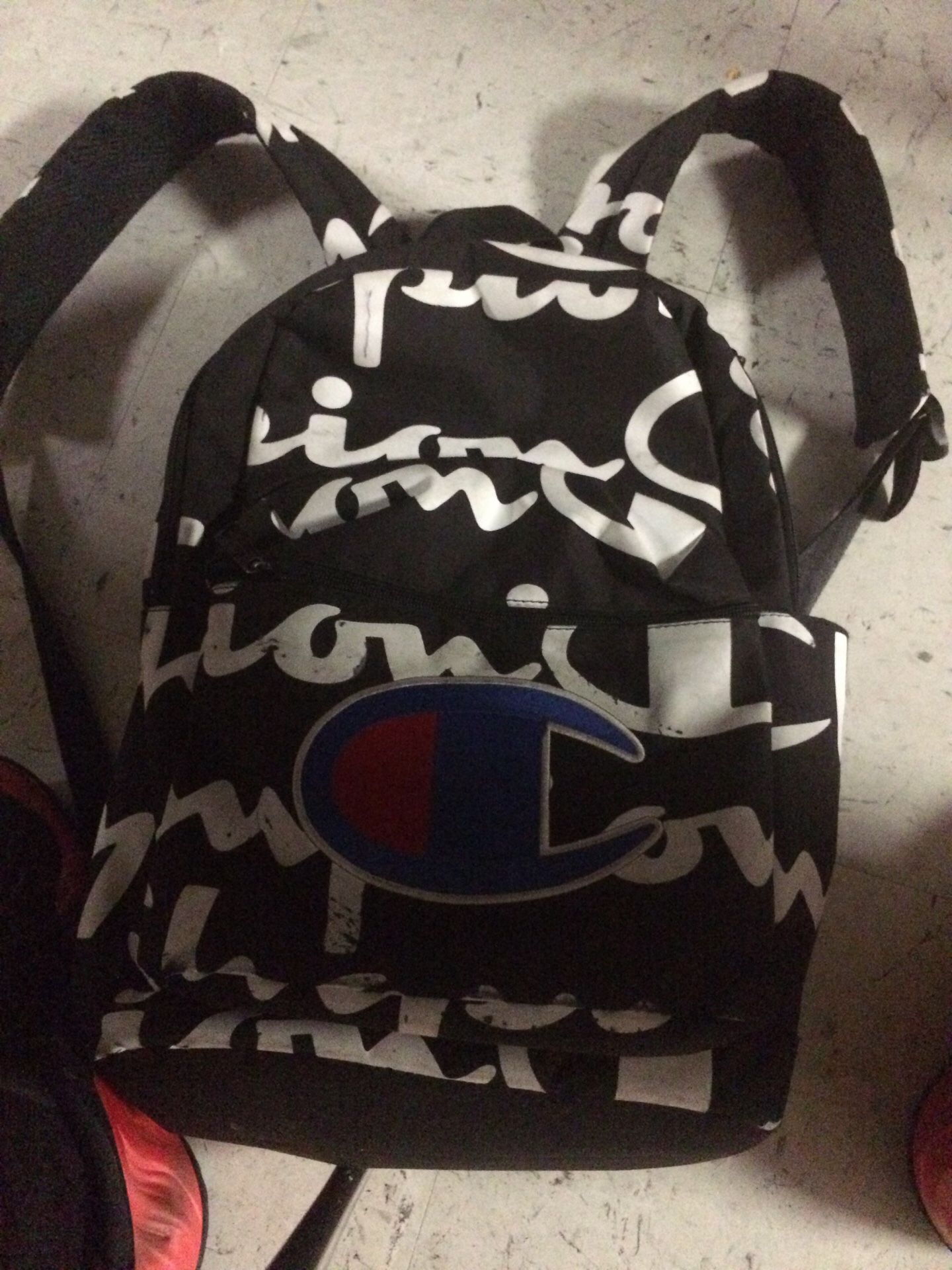 Champion backpack