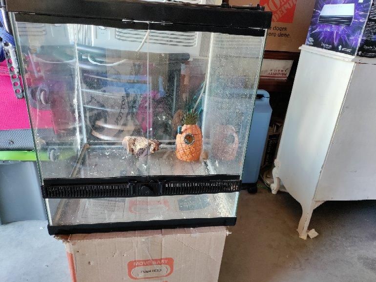 30 Gallon Terrarium