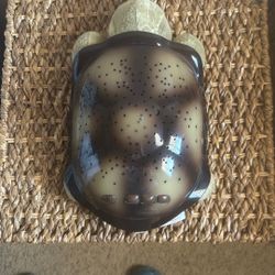 Twilight Turtle For Kids 