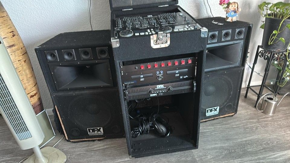 DFX Professional Stereo System