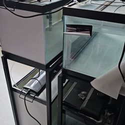 Breeder Aquariums - FULL SETUP!  