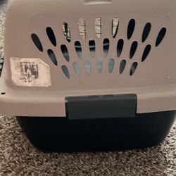 Cat  Carrier ( or Small Pet) .. Cat Food / Kitty Liter Included 