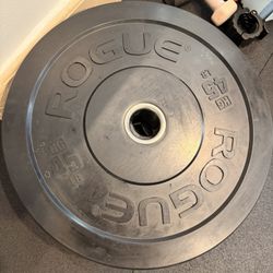 45 lb Rogue plates (x2)