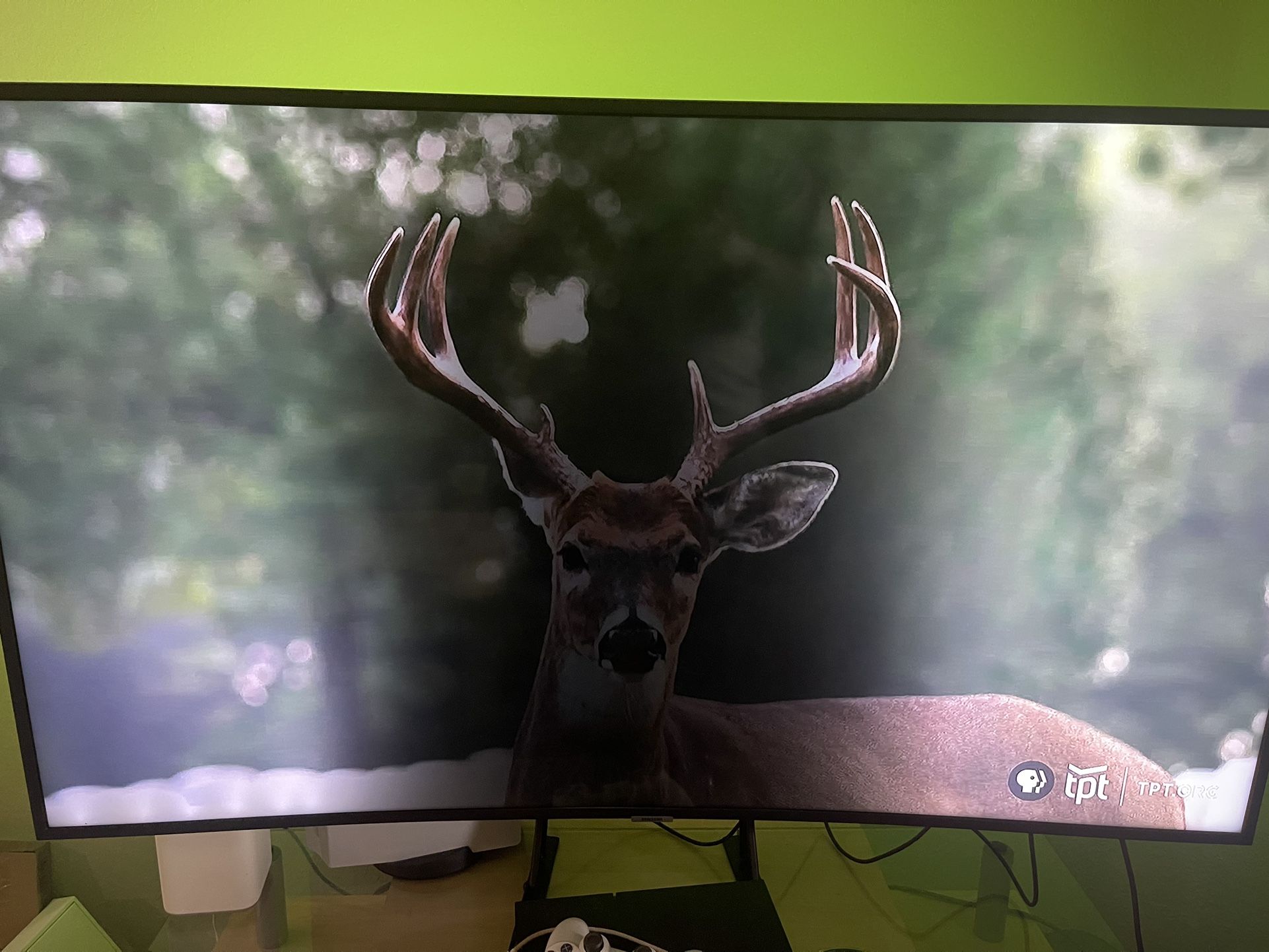 55" UHD 4K Curved Smart TV NU7300 - Back Light Out