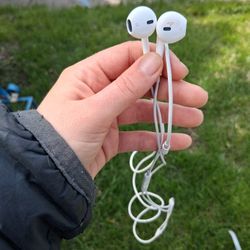 IPhone Headphones 