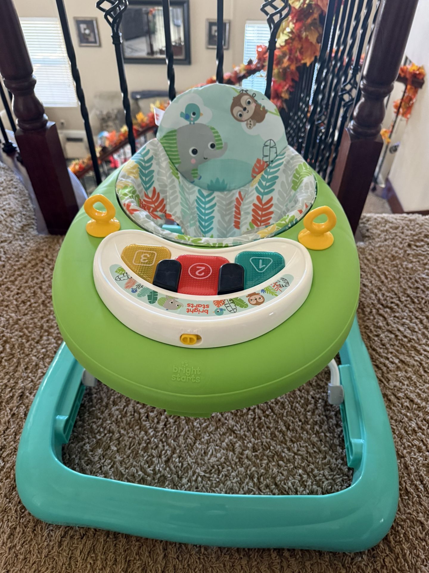 Baby Walker