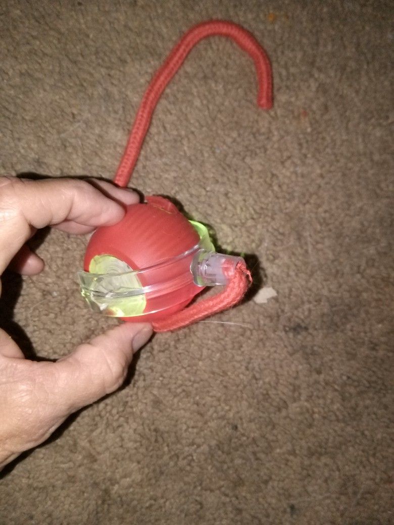 Rechargeable Cat Toy