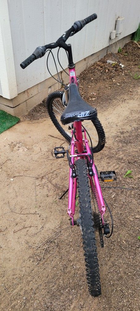 Bicycle For Sale Moving, Can't Take It With