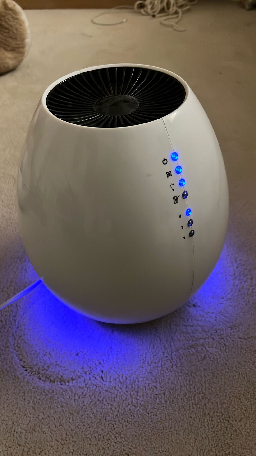 Holmes Air Purifier HEPA Type