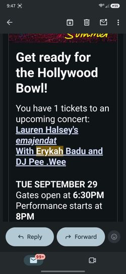 Hollywood Bowl Erykah Badu