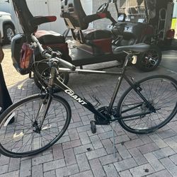 Giant Road Bike 