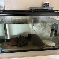 30 Gallon Fish Tank 