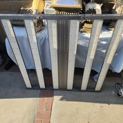 Shenzhen Enlite Energy Growlight