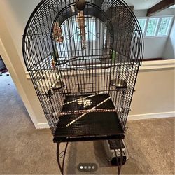 Bird Cage With Lots Of Extras 