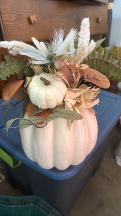 Decoration pumpkins