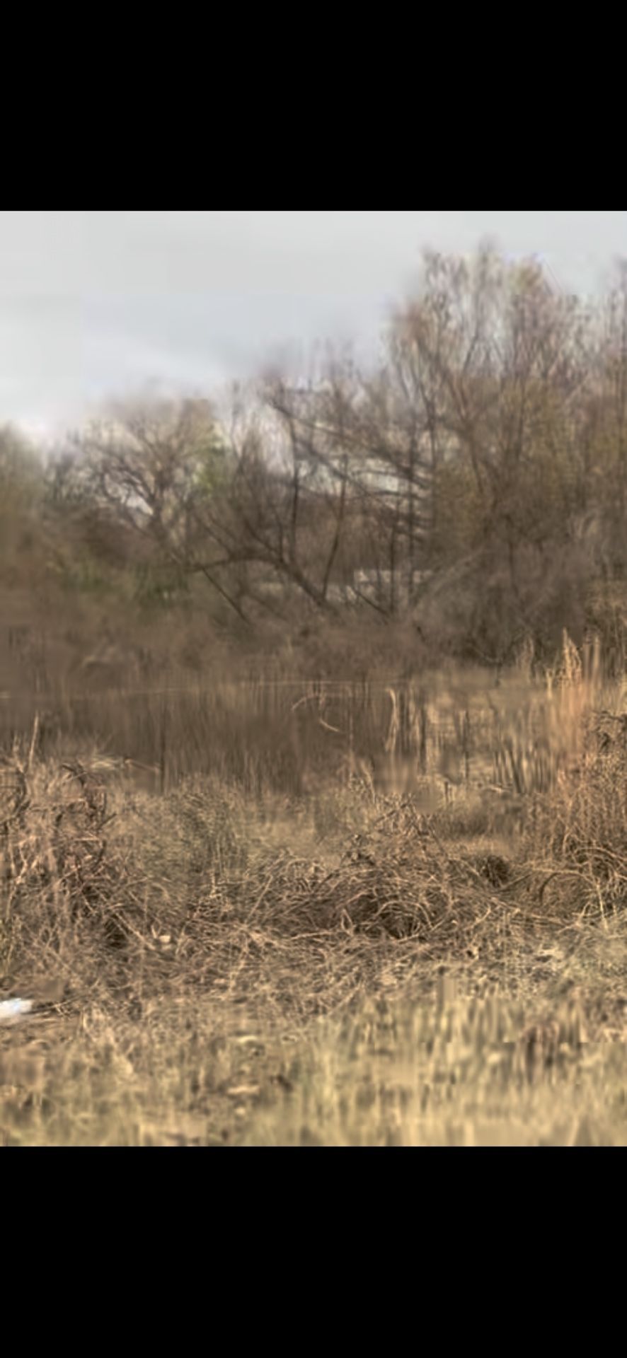 LAND FOR SELL SPENCER AREA