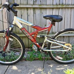 Adult Bike, Mountain bike, Next Power X Red