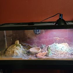 20 Gal Long Tank And Stand