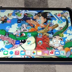 iPad 10th Generation 256 GB - READ DESC