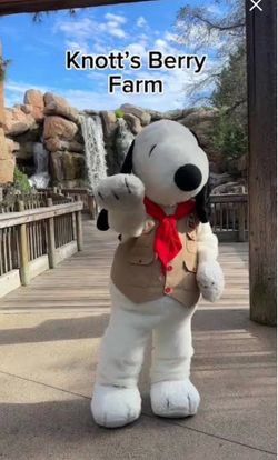 2- 40$ Knotts e-ticket