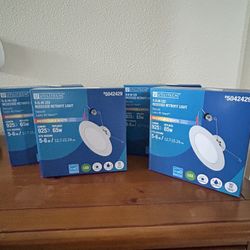 LED Recessed Retrofit Lights (4))