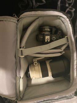 CANON R8 setup