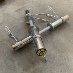 Gold Gym Dumbbells Set