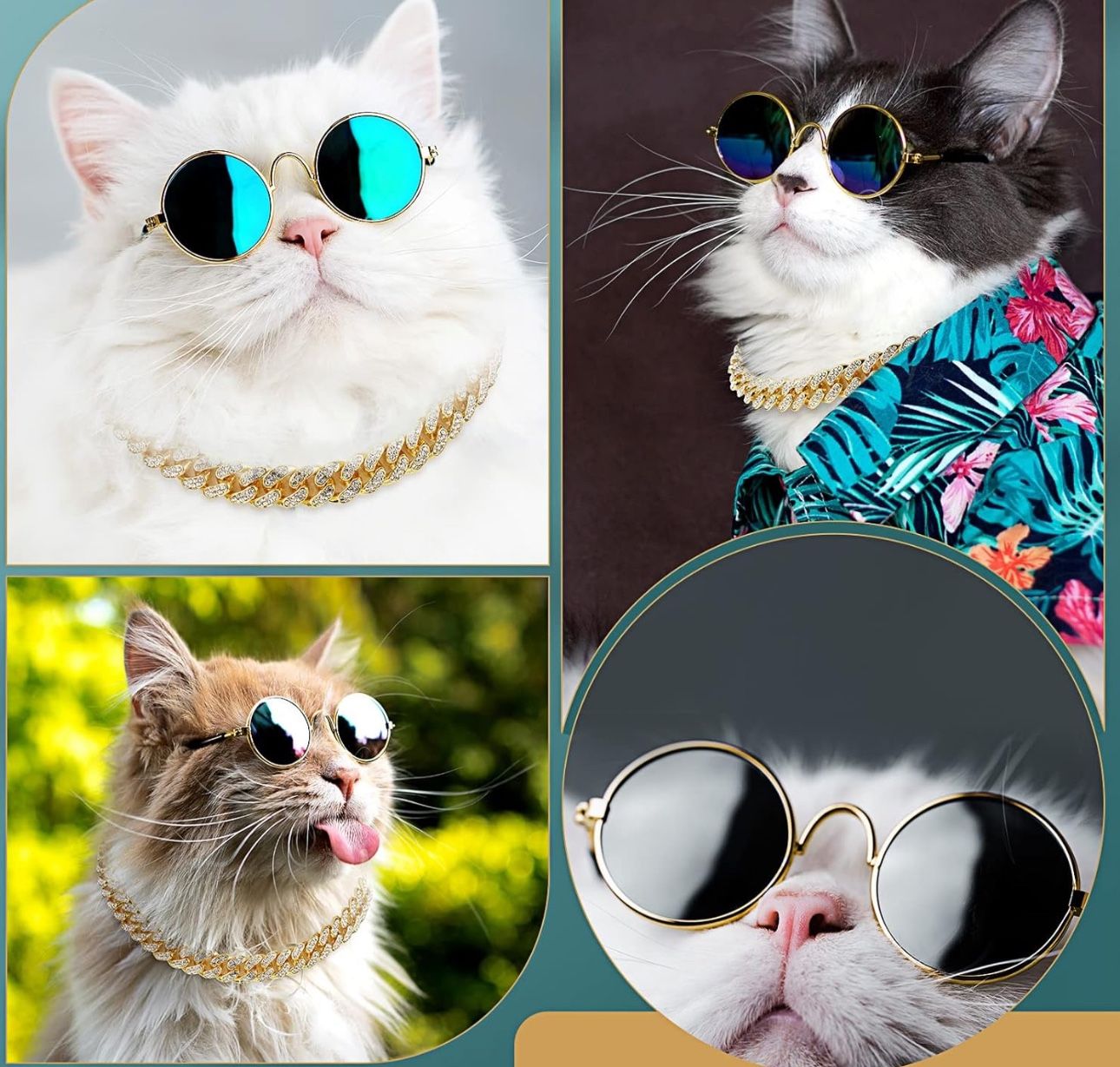 Cat Sunglasses