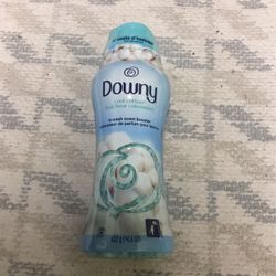 Downy In Scent Booster