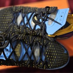 Nike LeBron James 23 (Lakers Heritage Shoes)