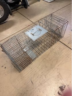 Animal trap