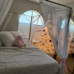 Canopy Queen Bed 