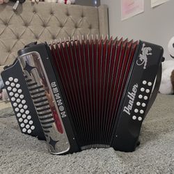 Hohner panther accordion