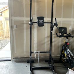 Citybirds DIP and Pull-ups