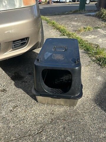 Cat Litter Box