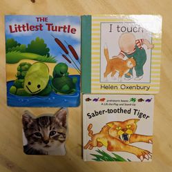 Lot of 4 Animal Board Books