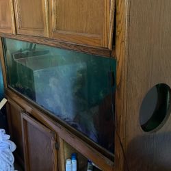100plus gallon fish tank w/Stand