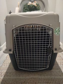 MED TO LARGE  PET TAXI