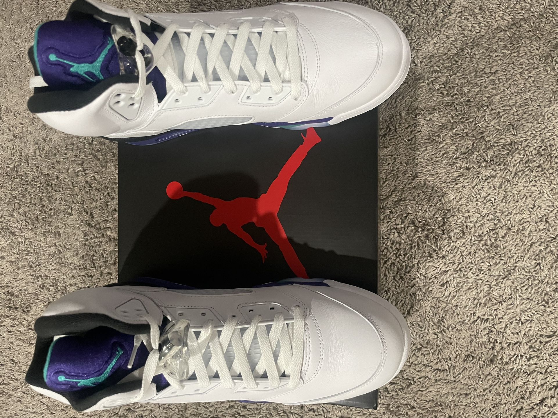 Air Jordan 5 "GRAPES" (Size 13)