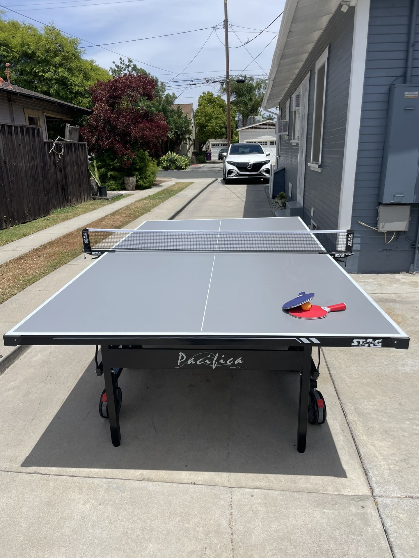 Professional Ping Pong Table