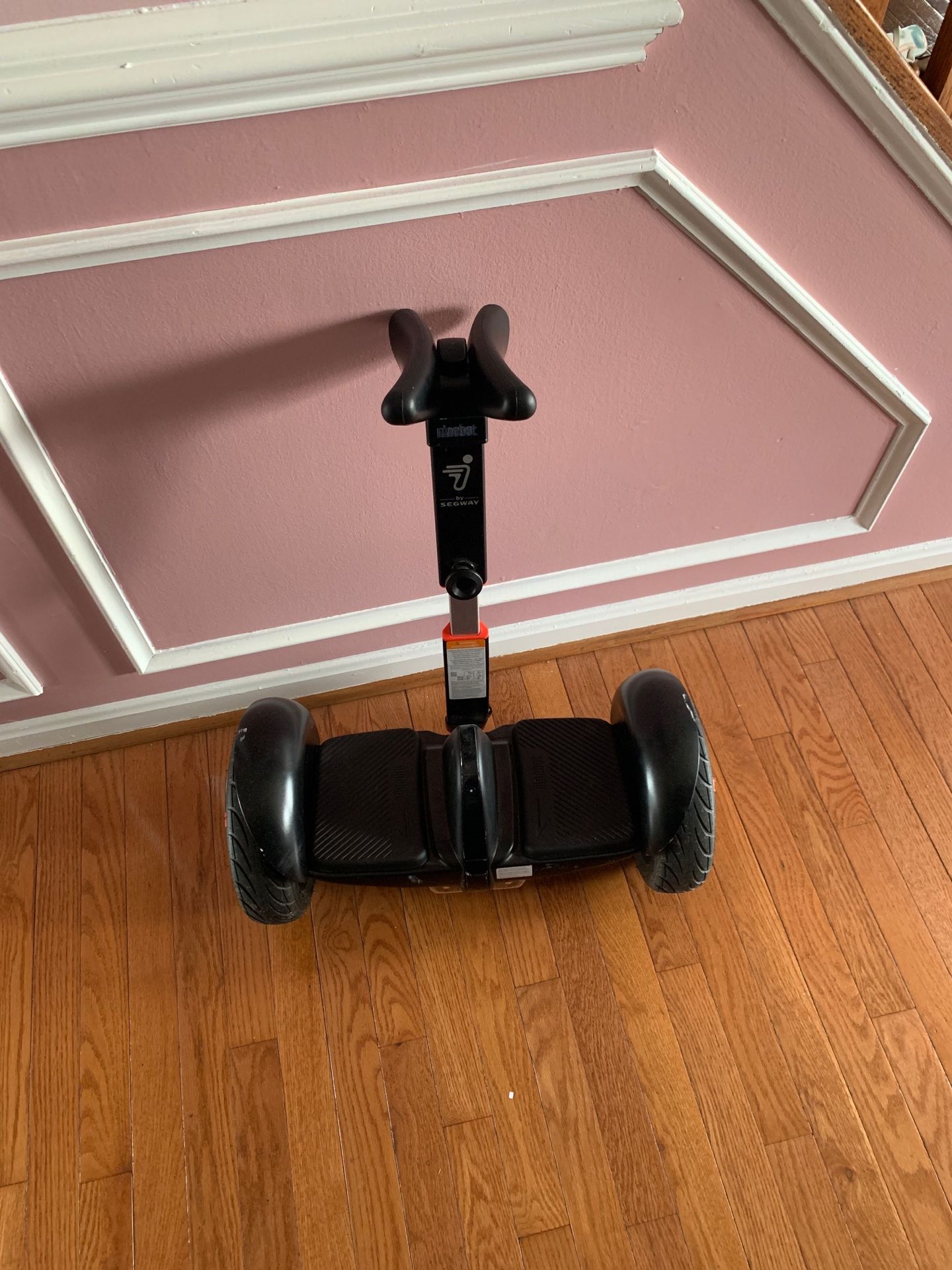 Ninebot Self balancing Segway