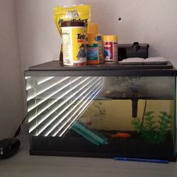 Fish Tank