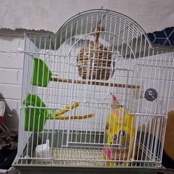 New Bird Cage  Make Me Reasonable Offer Its Yours