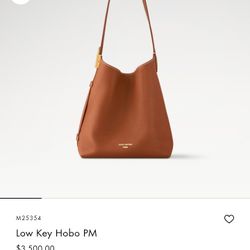 Louis Vuitton Low-key Hobo Bag PM Authentic