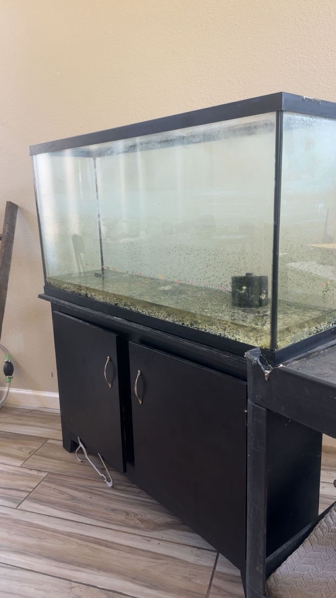75 Gallon Fish Tank With Equipment