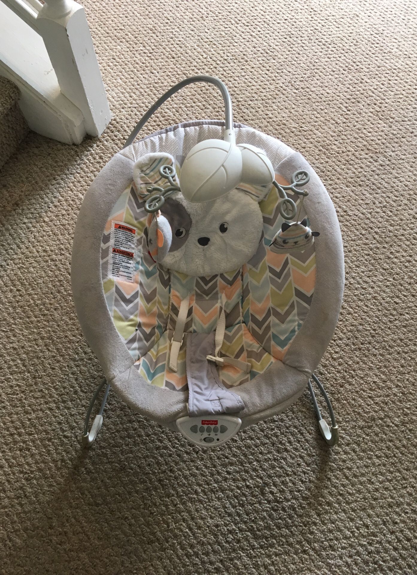 Fisher Price Bouncy Seat