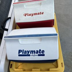 Playmate By Igloo Coolers 