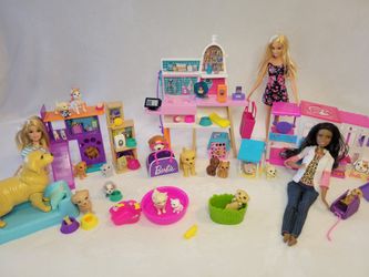 Huge Combined Barbie Vet Experience