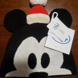Disney Beannie
