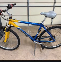 Vintage Schwinn Mountain Bike (Taiwan Frame)